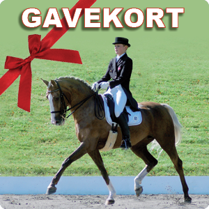 GAVEKORT
