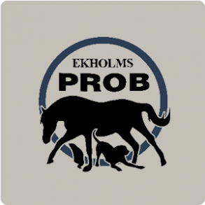 Ekholms Prob